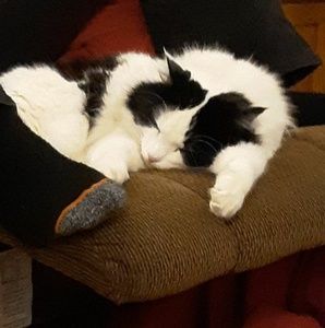 Meet your Posher, Roberta